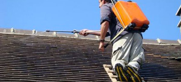 Ets GHECHAM COUVREUR : Charpente toiture façade : Sarthe 72 : travaux de Couverture, charpente, demoussage et peinture hydrofuge toit, étanchéité et isolation combles, ravalement façade, bardage, maçonnerie. Le Mans, Évron..